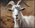 Posterizer 1 pcs- Beautiful white goat with a brown background print-Art for Animal Lovers- Gift for Men Women Entrepreneur Teens-Decor for Home &...