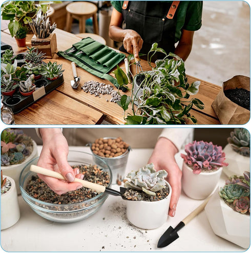 PATIKIL Mini Garden Plant Tool Set, 6 Pack Trowel Shovel Succulent Gardening Hand Tools for Seedlings Bonsai Herbs Planting...