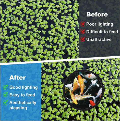 PAGOW 10pcs Fish Feeding Rings Set, Floating Aquarium Plant Corral, Round & Square Fish Feeder Rings for Fish Tank, Floating Plant Ring, Fish Tank...