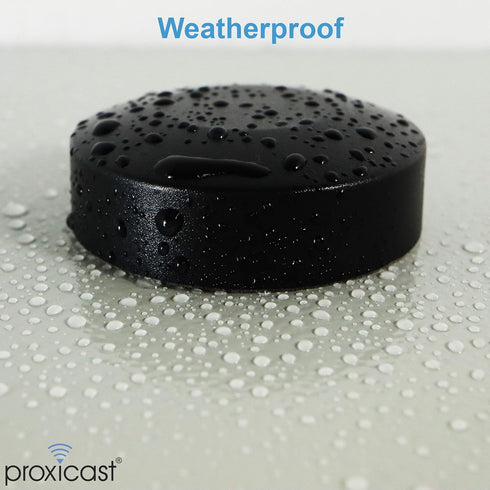 Proxicast Ultra Low-Profile Indoor/Outdoor WiFi Antenna - Triple Band 2.4/5.8/6 GHz - Fixed Through-Hole Screw Mount Bluetooth | ZigBee | WiFi Puc...