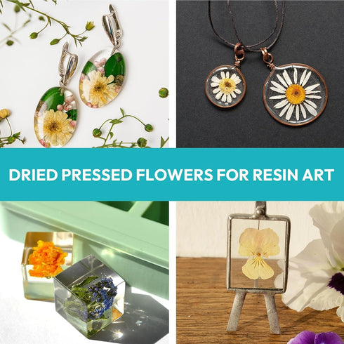 Resiners 100Pcs Dried Pressed Flowers for Resin Molds, Real Pressed Flowers Dry Leaves Kit for Art Crafts Resin Jewelry Making Scrapbook Supplies ...