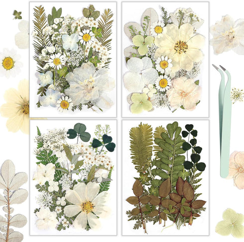 Resiners 100Pcs Dried Pressed Flowers for Resin Molds, White Real Natural Dried Flowers Dry Leaves kit for Wedding Scrapbook Supplies Card Making ...