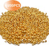 Aylifu Crimp Beads 3mm, 1000 Pieces Stopper Beads Metal Bead Spacers for DIY Bracelet Jewelry Making, Gold...