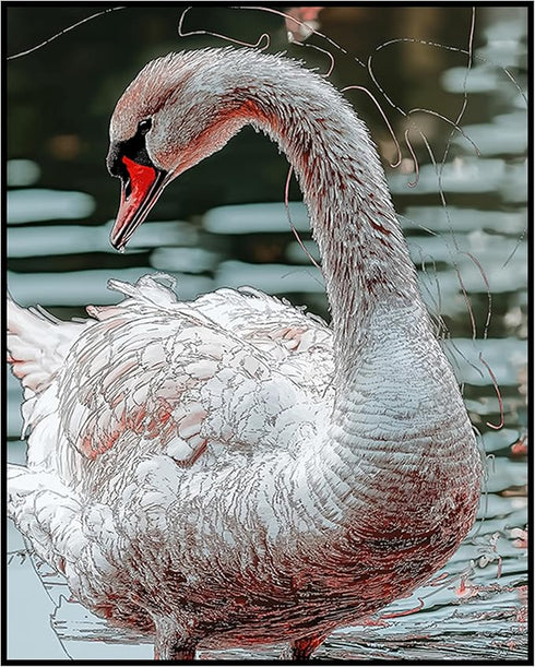 Posterizer 1 pcs-graceful beautiful white swan art work 2-Art for Animal Lovers Gift for Men Women Entrepreneur Teens Chic Home Decor- unframed w...