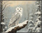 Posterizer 1 pcs-snowy winter scene of a white owl-oil painting style 1-Art for Animal Lovers-Landscape & Nature Art-Decor for Home & Office- unfr...