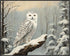 Posterizer 1 pcs-snowy winter scene of a white owl-oil painting style 1-Art for Animal Lovers-Landscape & Nature Art-Decor for Home & Office- unfr...