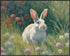 Posterizer 1 pcs- Cute Little Bunny in The wild-Art for Animal Lovers-Landscape & Nature Art- Living Room Bedroom Decor- unframed wall art...