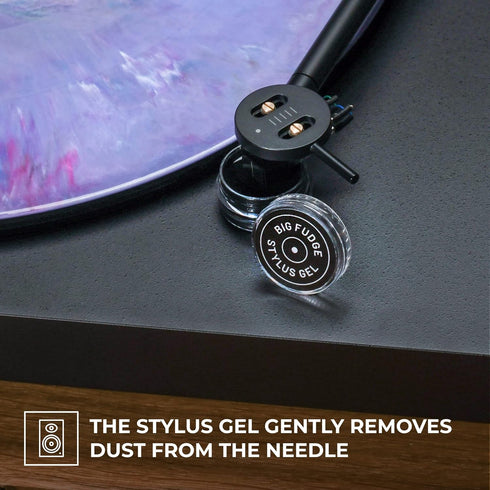 Big Fudge Vinyl Record Cleaning Kit - Includes Velvet Cleaner Brush, Cleaning Fluid, Stylus Gel, Velvet Brush - with Padded Storage Case...