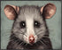 Posterizer 1 pcs- Portrait of a possum with pastel blue background-Art for Animal Lovers- Gift for Men Women Entrepreneur Teens-Living Room Bedroo...