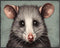 Posterizer 1 pcs- Portrait of a possum with pastel blue background-Art for Animal Lovers- Gift for Men Women Entrepreneur Teens-Living Room Bedroo...