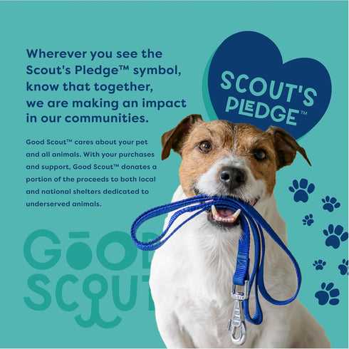 Small Rubber Dental Ball Dog Toy for Chewing, Best Dog Toy for Fetch, Chew Toy for Puppies & Adult Dogs, Dog Toy for Medium & Large Dogs with Rubb...