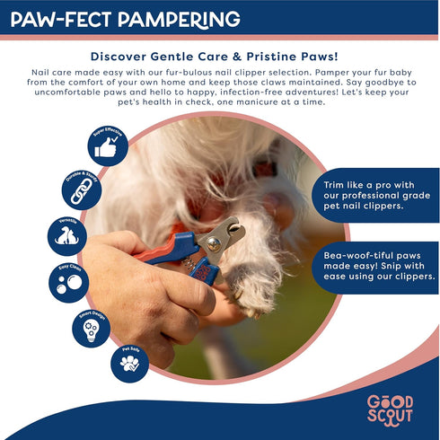 Small Pet Nail Clippers, Best Dog Nail Trimmers & Cat Nail Trimmers, Non-Slip Handle Canine Nail Clippers with Stainless Steel Strong Blades for Q...