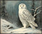 Posterizer 1 pcs-snowy winter scene of a white owl-oil painting style 6-Art for Animal Lovers-Landscape & Nature Art-Decor for Home & Office- unfr...