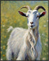 Posterizer 1 pcs- Oil painting style print of a goat-Art for Animal Lovers-Floral Botanical Art- Gift for Men Women Entrepreneur Teens-Living Room...