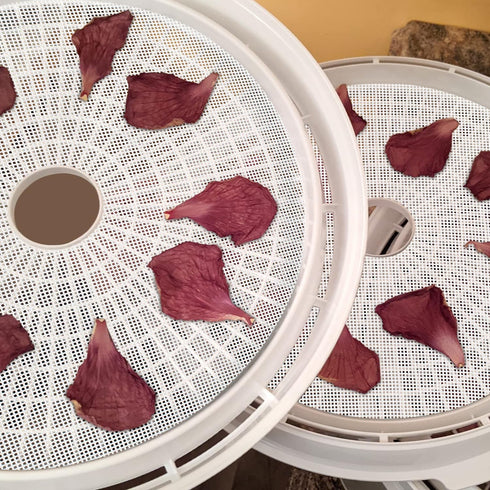 (8 Pack) Round Silicone Dehydrator Sheets, Dostk Premium Non Stick Silicone Mesh for Fruit Dehydrator, Dehydrator Tray Liner Reusable (Round 13" D...