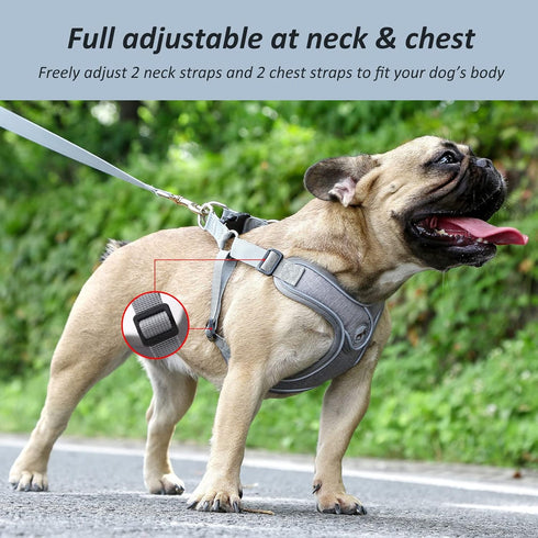 Dog Harness with Leash Set, No Pull Dog Harnesses with Breathable Padded Puppy Harness for Small Dogs Training and Running(XS, Gray)...