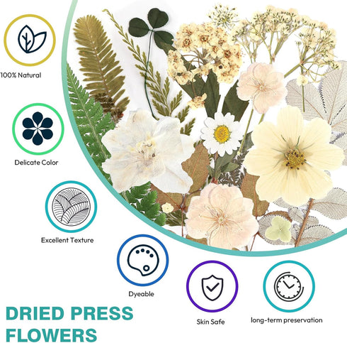Resiners 100Pcs Dried Pressed Flowers for Resin Molds, White Real Natural Dried Flowers Dry Leaves kit for Wedding Scrapbook Supplies Card Making ...
