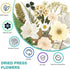 Resiners 100Pcs Dried Pressed Flowers for Resin Molds, White Real Natural Dried Flowers Dry Leaves kit for Wedding Scrapbook Supplies Card Making ...