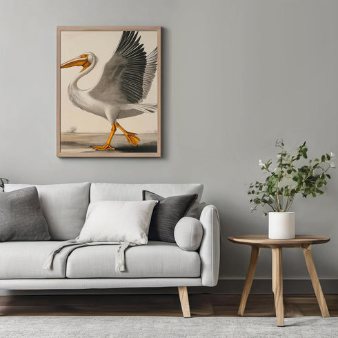 Posterizer 1 pcs-White Pelican detailed art work 1-Art for Animal Lovers-Collectibles & Fine Art-Decor for Home & Office- unframed wall art...