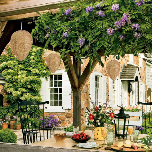 DECYOOL 4 Pack Paper Wasp Nest Decoy Hanging Wasp Nest Stay Away from Wasps Hornets Yellow Jackets(Dark Brown, Orange)...