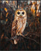 Posterizer 1 pcs-painting style-cute solitary owl on a branch-Art for Animal Lovers-Landscape & Nature Art-Living Room Bedroom Decor- unframed wal...