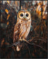 Posterizer 1 pcs-painting style-cute solitary owl on a branch-Art for Animal Lovers-Landscape & Nature Art-Living Room Bedroom Decor- unframed wal...