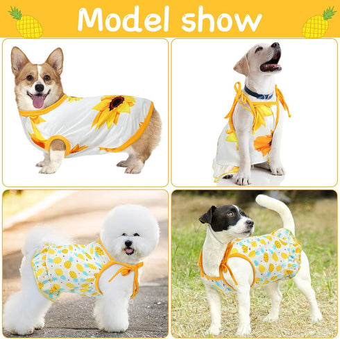4 Pieces Pet Clothes Set Include 2 Pieces Cute Pet Dress Lovely Fruit Dog Dress and 2 Pieces Dog Shirt Breathable Pet T-Shirt Puppy Clothes for Pe...