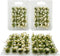 Woohome Flower Cluster Flower Vegetation Groups Grass Tufts Miniature Static Scenery for DIY Architecture Building Model Railway Train Diorama Gar...