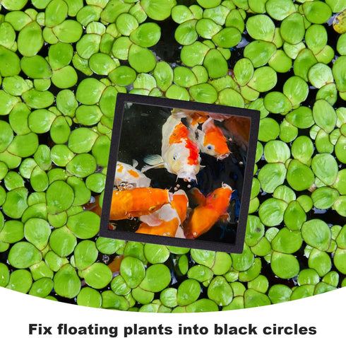 PAGOW 10pcs Fish Feeding Rings Set, Floating Aquarium Plant Corral, Round & Square Fish Feeder Rings for Fish Tank, Floating Plant Ring, Fish Tank...