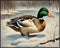 Posterizer 1 pcs-duck in snowy winter nature-oil painting style 3-Art for Animal Lovers-Landscape & Nature Art-Decor for Home & Office- unframed w...
