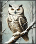 Posterizer 1 pcs-snowy winter scene of a white owl-oil painting style 11-Art for Animal Lovers-Landscape & Nature Art-Decor for Home & Office- unf...