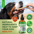 Natural Antibiotics for Dogs | Dog Antibiotics | Antibiotic for Dogs | Dog Antibiotic | Antibiotics for Dogs | Natural Ingredients| 2 Oz...