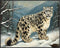 Posterizer 1 pcs-snow leopard in a wintery nature-oil painting style 2-Art for Animal Lovers-Landscape & Nature Art-Decor for Home & Office- unfra...