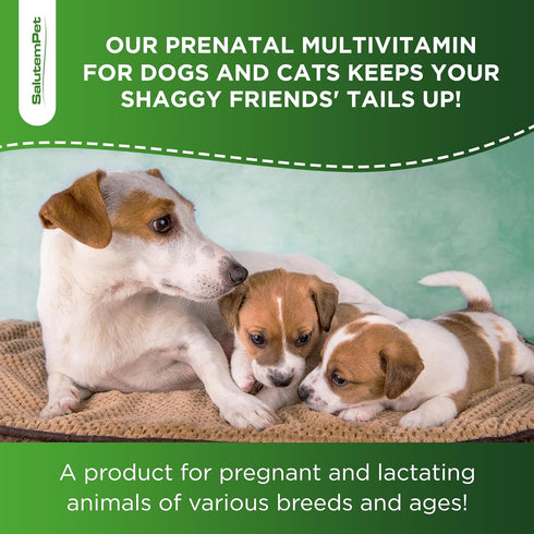 Dog Prenatal Vitamins | Pregnant Cat Supplies | Prenatal Vitamins for Dogs | Product for Pregnant Cat | Prenatal Dog Vitamins | Vitamins for Pregn...