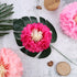 Gejoy 12 Pieces Pink Paper Flowers Tissue Pom Poms Giant Tissue Paper Chrysanth Fiesta Flowers DIY Crafting for Wedding Backdrop Bridal Baby Showe...