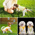 4 Pieces Pet Clothes Set Include 2 Pieces Cute Pet Dress Lovely Fruit Dog Dress and 2 Pieces Dog Shirt Breathable Pet T-Shirt Puppy Clothes for Pe...
