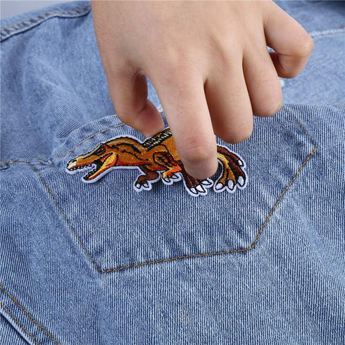 CCINEE 14pcs Iron On Patches DIY Sew On Decorative Appliques Stickers Embroidery Patches for Cloth Backpacks Jeans Coats, Dinosaur Theme...