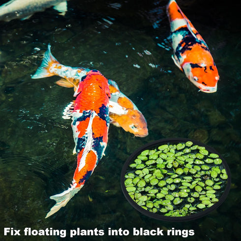 PAGOW 10pcs Fish Feeding Rings Set, Floating Aquarium Plant Corral, Round & Square Fish Feeder Rings for Fish Tank, Floating Plant Ring, Fish Tank...