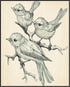 Posterizer 1 pcs-cute little birds on a branch serene scene poster -4-Art for Animal Lovers Gift for Men Women Teens Decor for Home & Office- unfr...