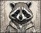 Posterizer 1 pcs- Black and white portrait of a raccoon with a jacket-Art for Animal Lovers- Gift for Men Women Entrepreneur Teens-Living Room Bed...