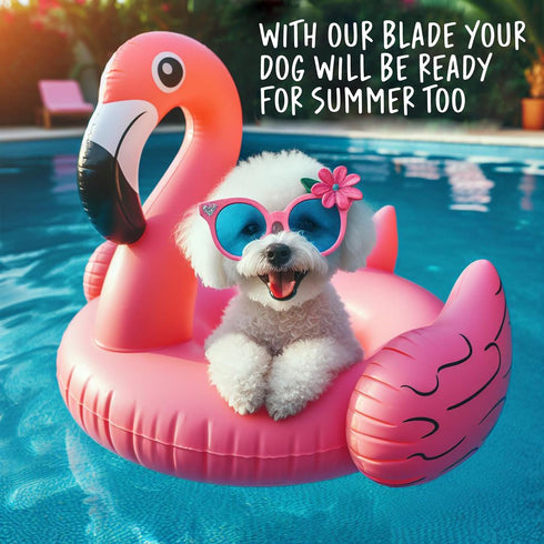 HQRP #10 Blade Dog Grooming Replace A5 Detachable Clipper Blades for Dog Grooming Blades UltraEdge/Ceramic Edge Compatible with Andis/Oster A6/Wah...