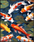 Posterizer 1 pcs- Gold fish swimming in a river print-Art for Animal Lovers- Gift for Men Women Entrepreneur Teens-Decor for Home & Office- unfram...