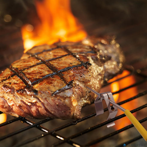 Temp Probe Clip 6 Pack - Four Holes Grill Temperature Probe Holder Clips for All Universal Probe, Work for Wireless Thermometer, Bluetooth, Grill ...