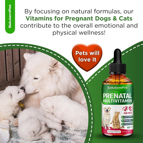 Dog Prenatal Vitamins | Pregnant Cat Supplies | Prenatal Vitamins for Dogs | Product for Pregnant Cat | Prenatal Dog Vitamins | Vitamins for Pregn...