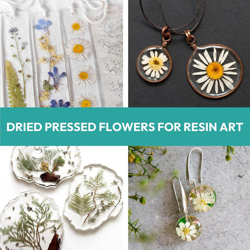 Resiners 100Pcs Dried Pressed Flowers for Resin Molds, White Real Natural Dried Flowers Dry Leaves kit for Wedding Scrapbook Supplies Card Making ...