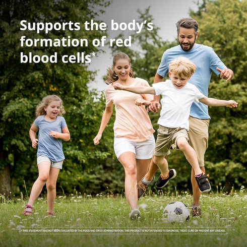 Floradix Iron & Herbs - Liquid Herbal Supplement for Energy Support - Iron Supplement with Vitamin C & B Complex Vitamins - Liquid Iron Supplement...