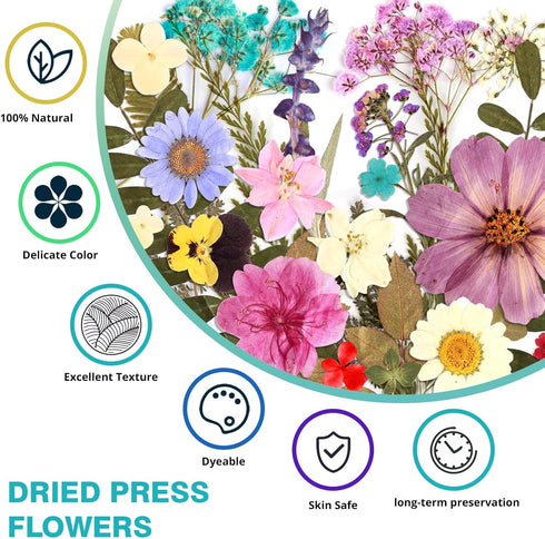 Resiners 100Pcs Dried Pressed Flowers for Resin Molds, Real Pressed Flowers Dry Leaves Kit for Art Crafts Resin Jewelry Making Scrapbook Supplies ...
