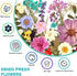 Resiners 100Pcs Dried Pressed Flowers for Resin Molds, Real Pressed Flowers Dry Leaves Kit for Art Crafts Resin Jewelry Making Scrapbook Supplies ...