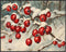 Posterizer 1 pcs-berries in snowy winter scene-oil painting style -5-Art for Animal Lovers-Landscape & Nature Art-Decor for Home & Office- unframe...