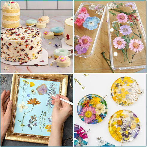 PATIKIL Dried Pressed Flowers, Natural Dried Flower Leave Assorted Real Pressed Flowers for DIY Art Crafts Resin Mold Scrapbooking, Purple Series...